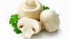 Шампиньоны Краснодар
