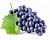 Виноград черный