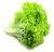 Лист салата шт